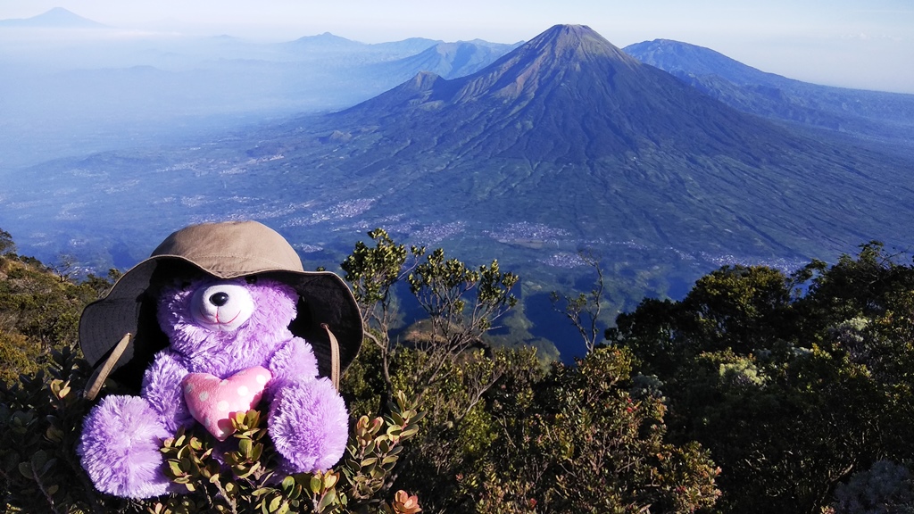 Catatan Pendakian Gunung Sumbing Sindoro Juli Part Ardan